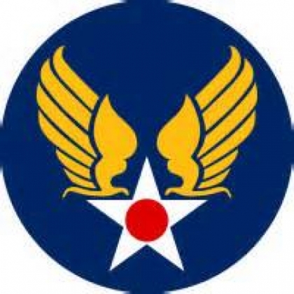 US SLEEVE INSIGNIA