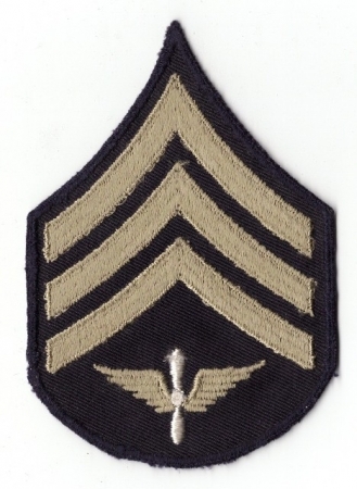 US SLEEVE INSIGNIA