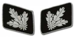 SS Officer Bullion Collar Tabs 