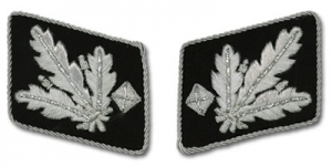 SS Officer Bullion Collar Tabs