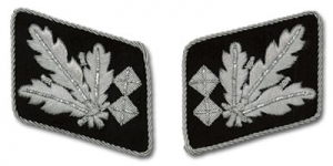 SS Officer Bullion Collar Tabs 