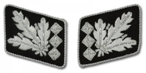 SS Officer Bullion Collar Tabs 